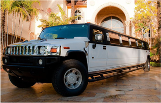 Lush Vineyard Limousine Tour